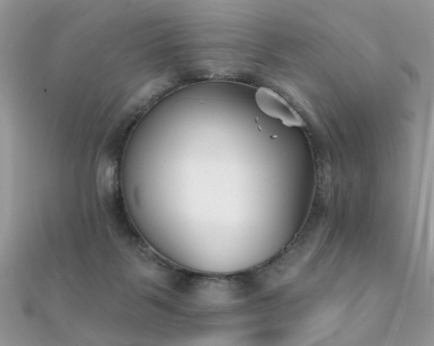 X0000112080123200908111503