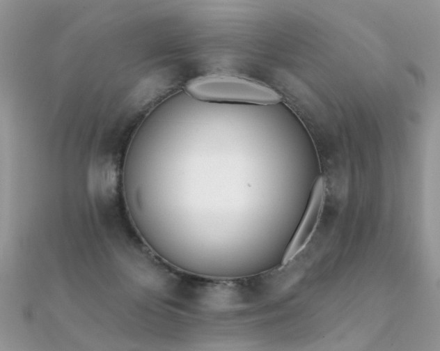 X0000112080124200908111503