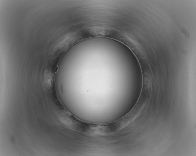 X0000112080125200908111503