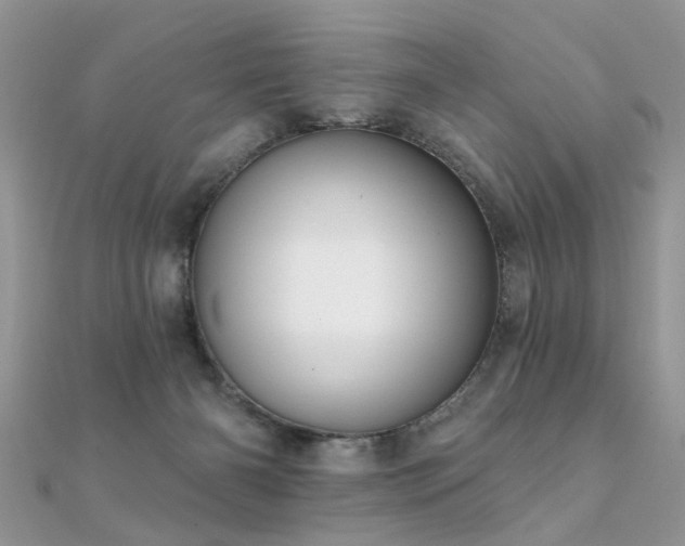 X0000112080126200908111503
