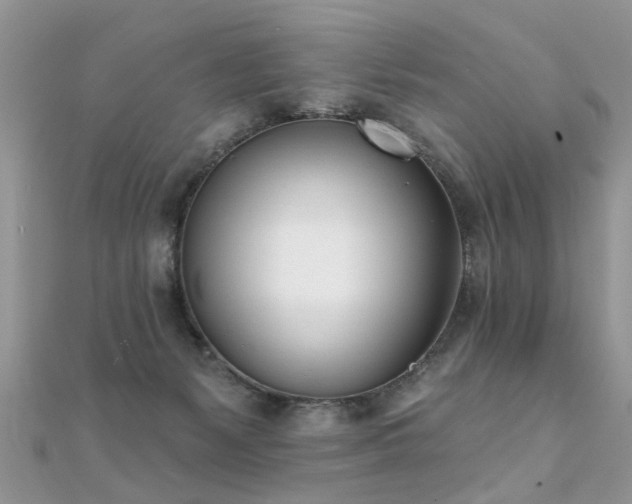 X0000112080127200908111503