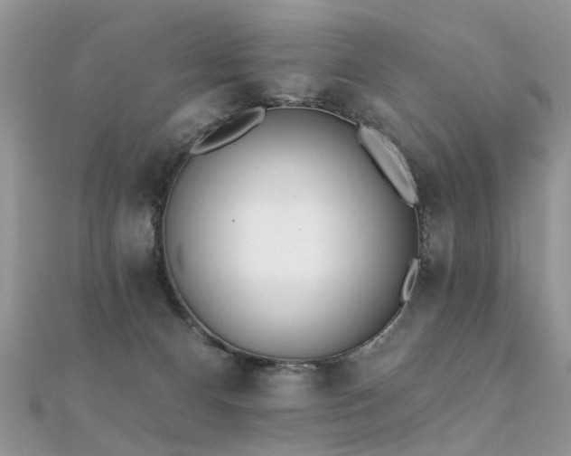 X0000112080128200908111503