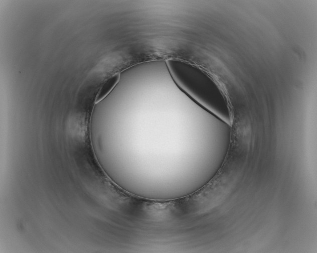 X0000112080129200908111503