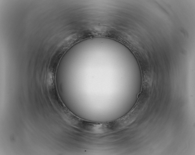 X0000112080130200908111503