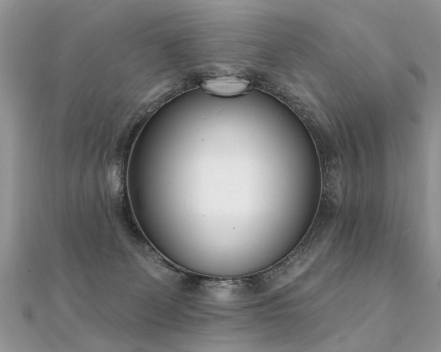 X0000112080131200908111503