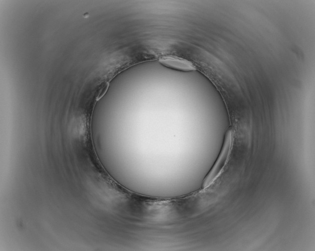 X0000112080132200908111503