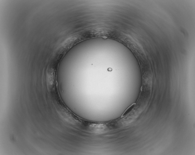 X0000112080133200908111503