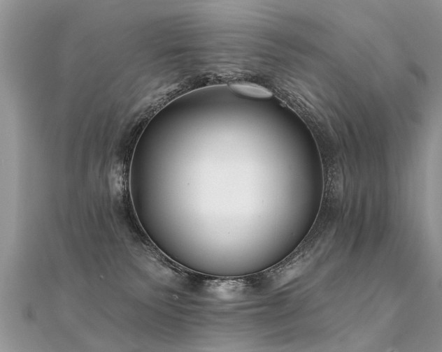 X0000112080135200908111503