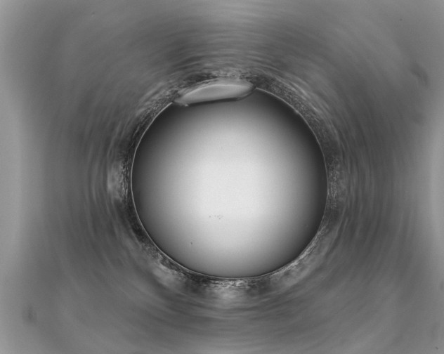 X0000112080136200908111503