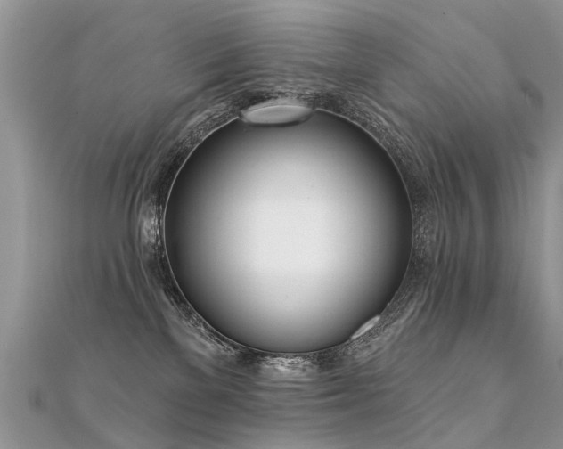 X0000112080137200908111503