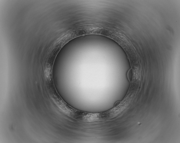 X0000112080138200908111503