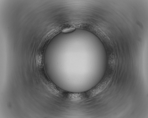 X0000112080139200908111503