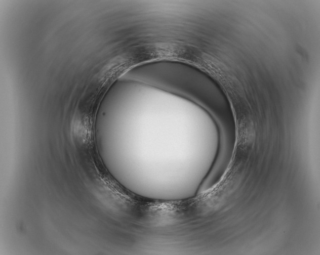 X0000112080140200908111503