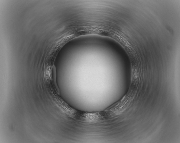 X0000112080141200908111503