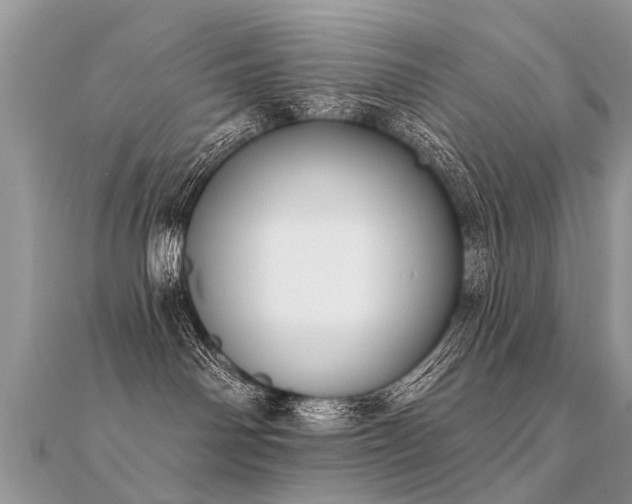 X0000112080142200908111503