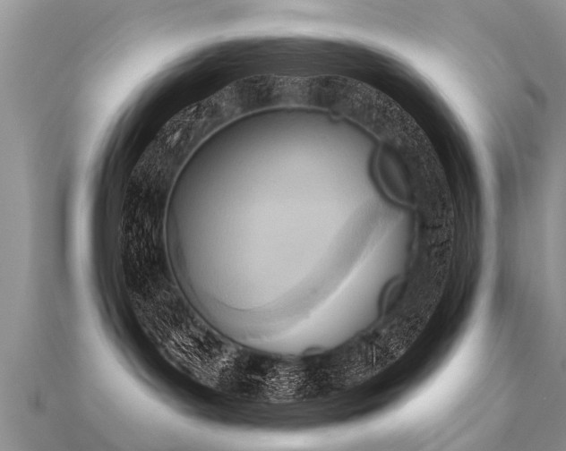 X0000112080143200908111503