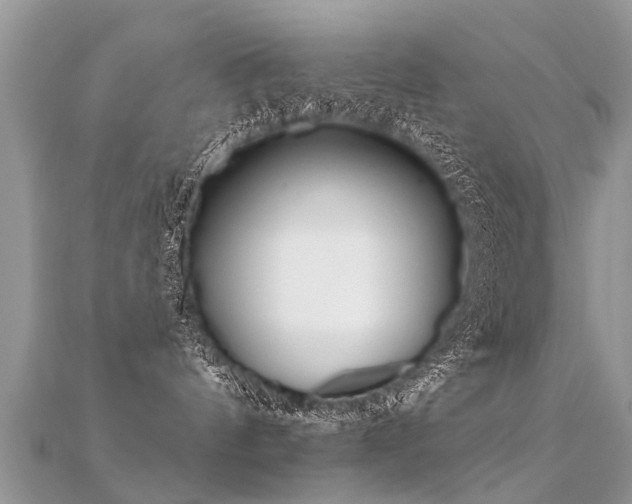 X0000112080144200908111503