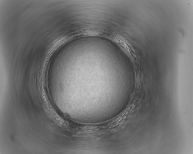 X0000112080145200908111502