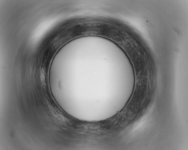 X0000112080146200908111502