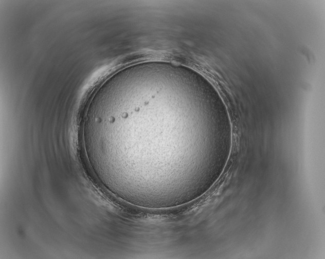 X0000112080149200908111502