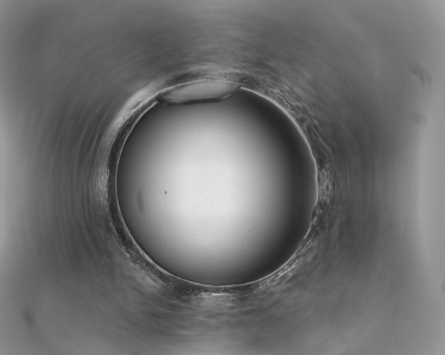 X0000112080150200908111502