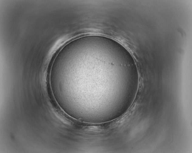 X0000112080151200908111502
