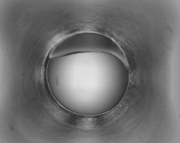 X0000112080152200908111502