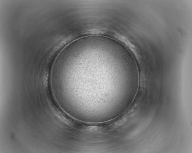 X0000112080153200908111502