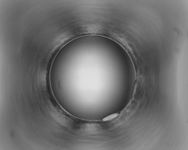 X0000112080154200908111502