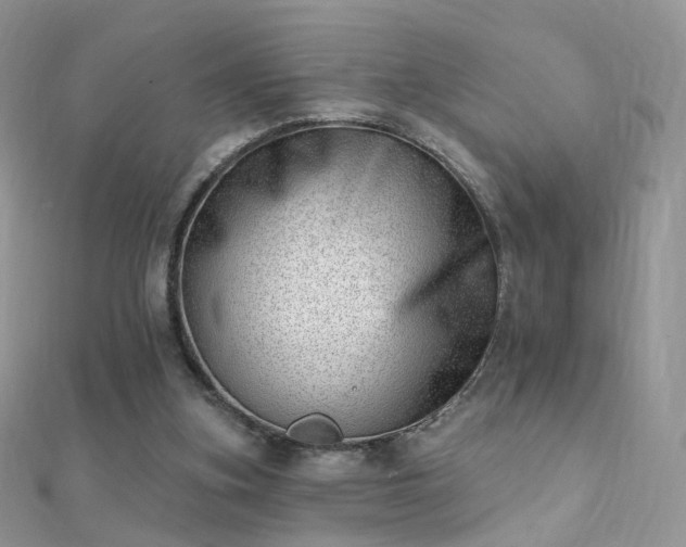 X0000112080155200908111502