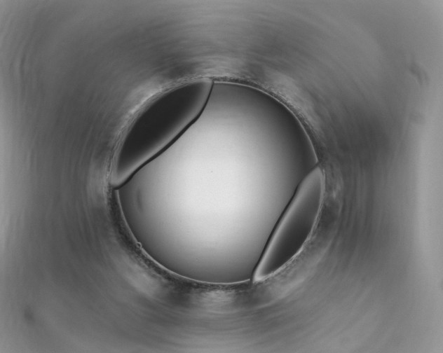 X0000112080156200908111502