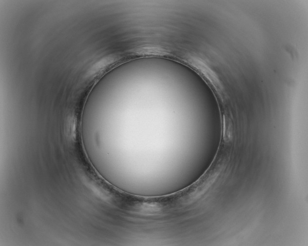 X0000112080157200908111502
