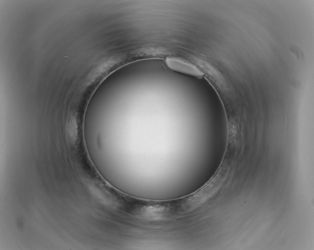 X0000112080158200908111502