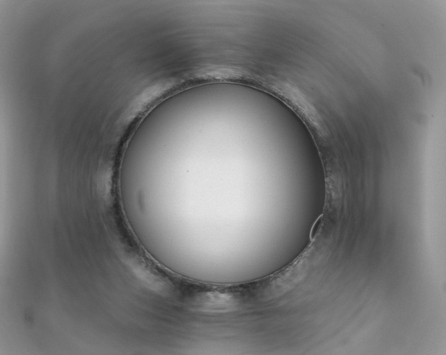 X0000112080159200908111503