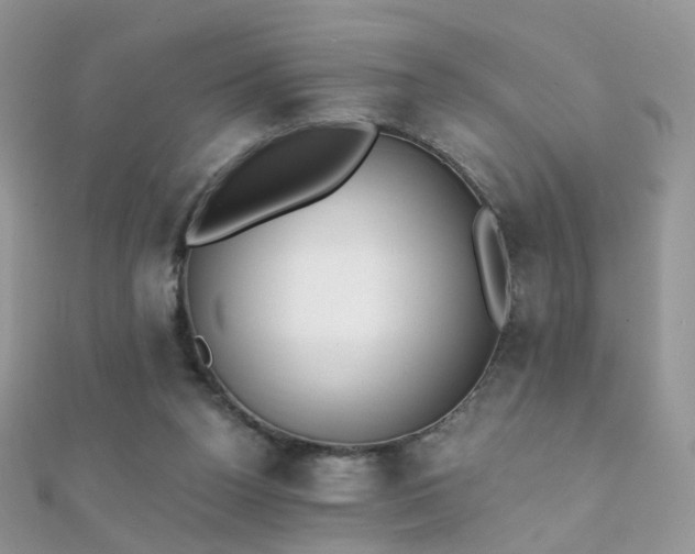 X0000112080160200908111503
