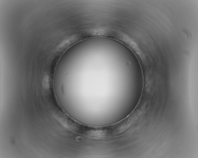 X0000112080161200908111503