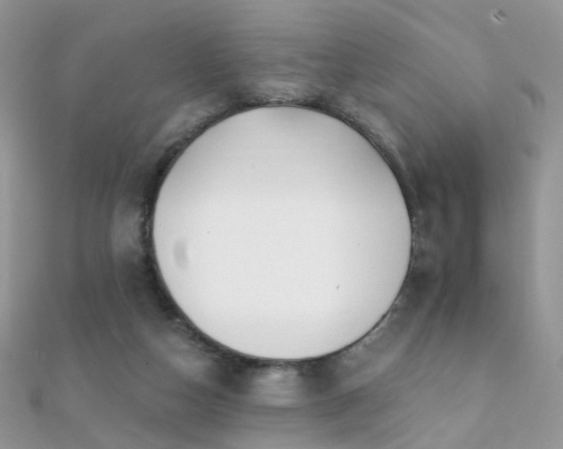 X0000112080162200908111503