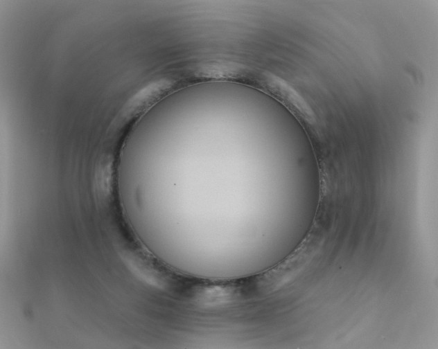 X0000112080163200908111503