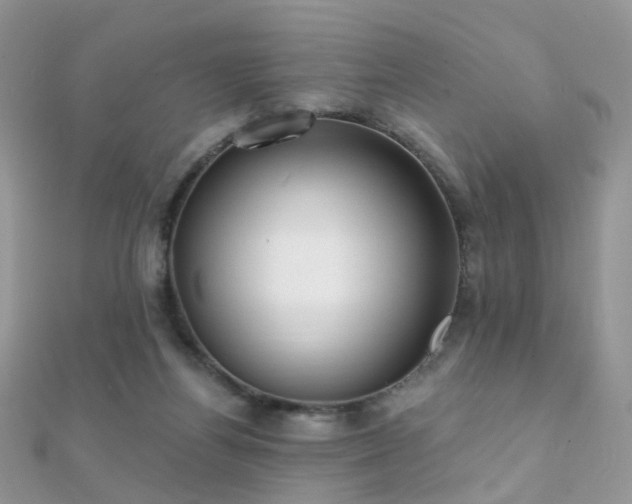 X0000112080164200908111503