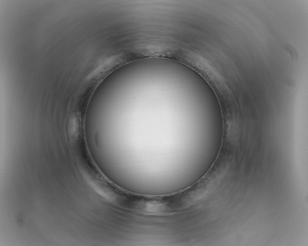X0000112080165200908111503