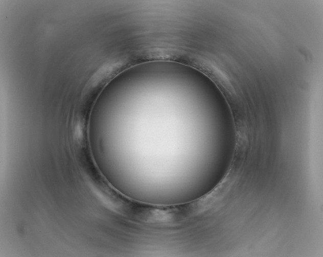 X0000112080166200908111503