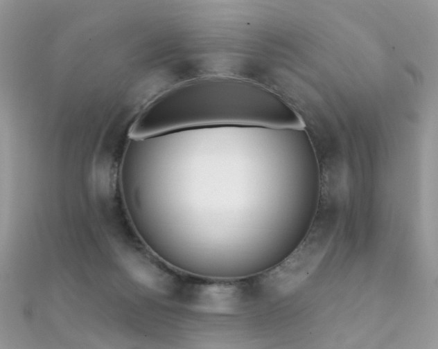 X0000112080168200908111503