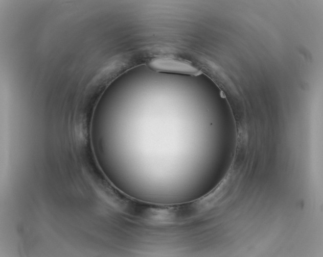 X0000112080170200908111503