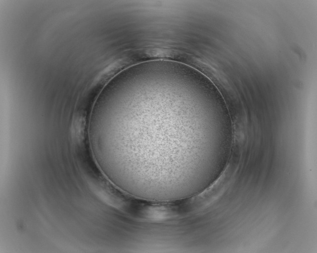 X0000112080171200908111503