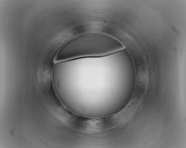 X0000112080172200908111503