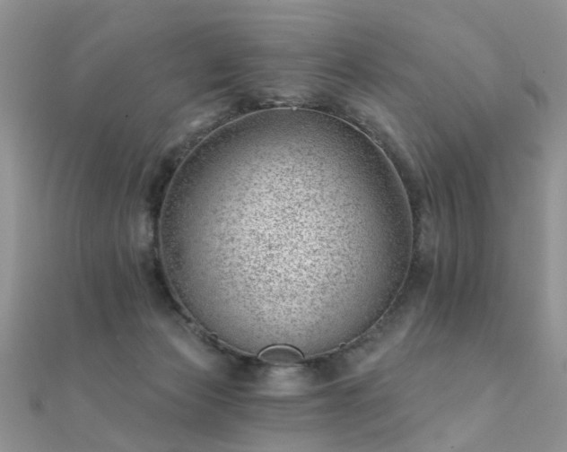 X0000112080173200908111503