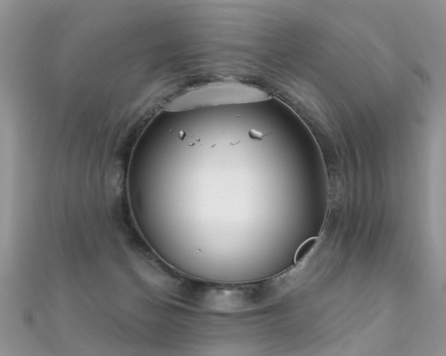 X0000112080174200908111503