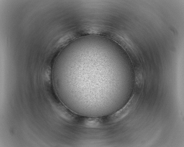 X0000112080175200908111503