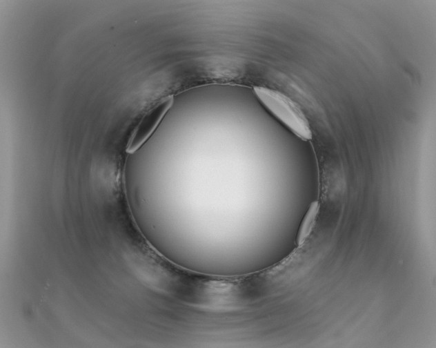 X0000112080176200908111503