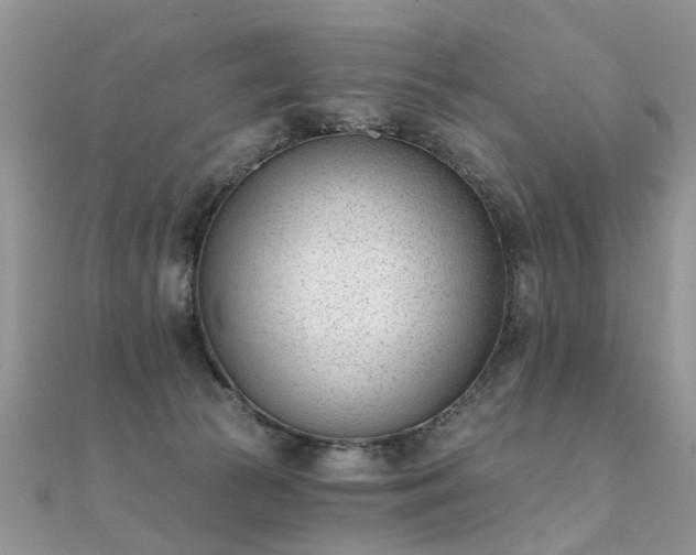 X0000112080177200908111503